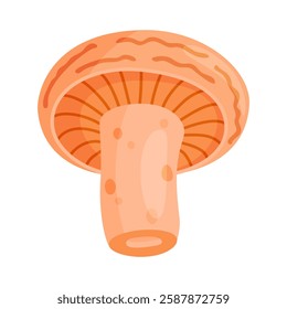 Saffron milk cap edible forest mushroom icon. Hand drawn trendy flat style delicious milk cap. Lactarius deliciosus fungus group engraved. Vector illustration Isolated