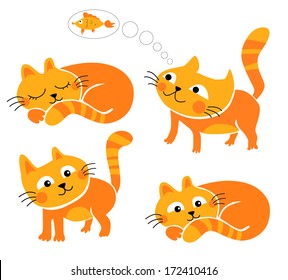 Saffron milk cap kittens.