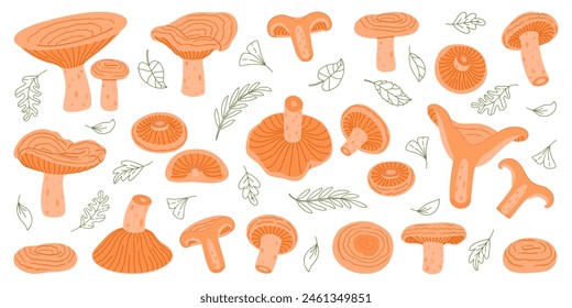 Saffron milk cap mushroom set. Edible forest mushrooms flat icon. Hand Drawn delicious milk cap Trendy flat style. Fungus Group Engraved. Red pine mushroom Isolated on white. Vector illustration