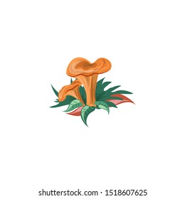 Saffron milk cap mushroom vector illustration in flat cartoon style