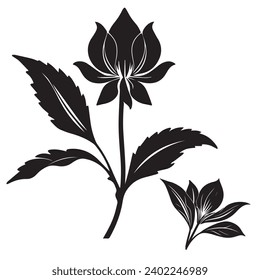 Bordes y símbolos de azafrán. Variedad de nivel oscuro base exquisito cimiento blanco azafrán vector vegetal e icono de silueta.