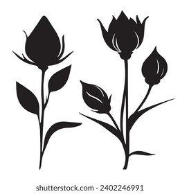 Saffron outlines and symbols. Dark level variety basic exquisite white foundation Saffron vegetable vector and silhouette icon.