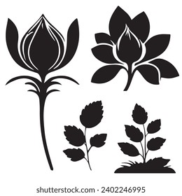 Saffron outlines and symbols. Dark level variety basic exquisite white foundation Saffron vegetable vector and silhouette icon.