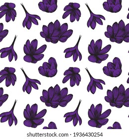 saffron seamless pattern sketch.Purple crocus flower pattern. Hand-drawn vector illustration