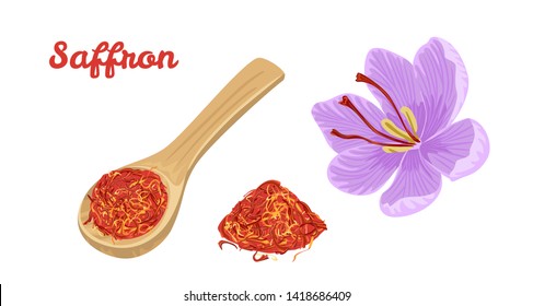 Saffron set. Dried spice saffron threads in wooden spoon and flower isolated on white background. Vector illustration of seasoning in cartoon flat style.