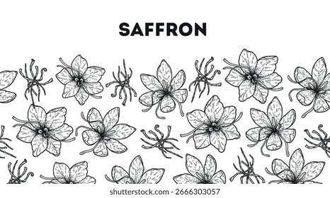 Boceto de azafrán. Horizontal patrón sin fisuras. Ilustración vectorial dibujada a mano. Flor de azafrán, azafrán, hoja. Especias de cocina