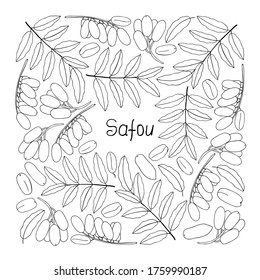 Safou lettering. Fruit doodle poster. Coloring page. Stock vector illustration.