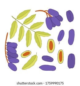 Safou set of colorful elements. Stock vector illustration.