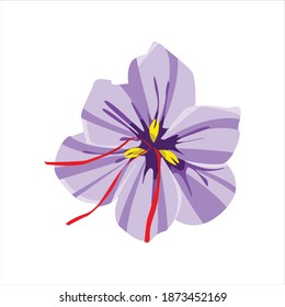 Safron Flower Digital Design Graphic 2d Hd Illustration