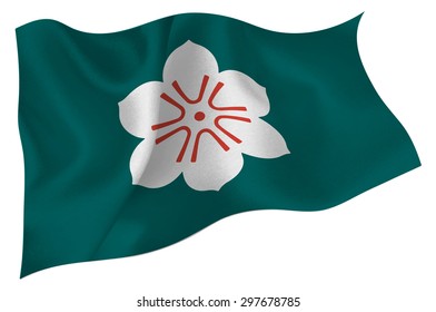 Saga Flag icon