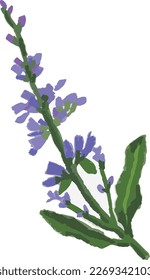 sage of birth flower in december