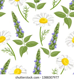 Sage and chamomile seamless pattern on white background. Vector illustration of field healing herbs and flowers in cartoon simple flat style.