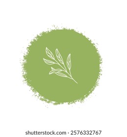 Sage culinary herb label. Hand drawn badge. Vector hand drawn doodle illustration isolated on white background.