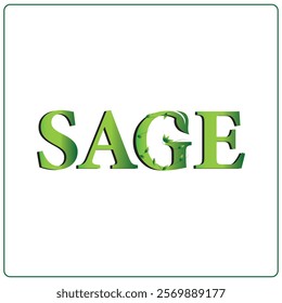 Sage elegant logo with leaf. Attractive color