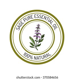 sage, essential oil label, aromatic plant. Vector illustration