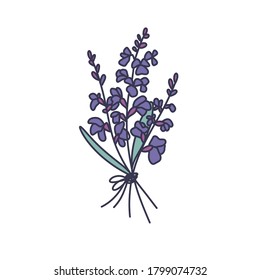 icono del doodle de la flor de salvia, ilustración del vector