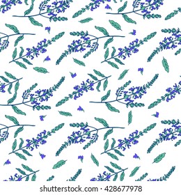 Sage flower hand drawn vector ink color sketch isolated on white, Doodle Healing plant, Vector seamless pattern, graphic floral texture background for cosmetic, design package, textile, wallpaper, tea