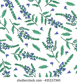 Sage flower hand drawn vector ink color sketch isolated on white, Doodle Healing plant, Vector seamless pattern, graphic floral texture background for cosmetic, design package tea, textile, wallpaper