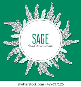 Sage flower vector isolated on white, Hand drawn ink doodle sketch sage healing herbs, plant, round frame, wreath with space for you text, for card,cosmetic, kitchen, design package tea, label sticker