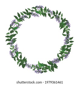 Sage flower wreath. Round floral frame. Vector clipart and design for sublimation