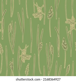 Sage green grass and grasshopper seamless background print. Vector illustration. Surface pattern design, perfect for textiles, wallpaper, stationery, packaging, home and garden decoration