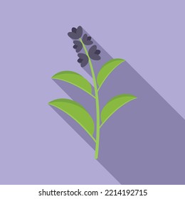Sage herb icon flat vector. Smudge mint. Leaf plant