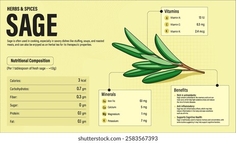 Sage Herb Nutrition Facts and Health Benefits–Detailed Vector Infographic for Healthy Eating and Wellness