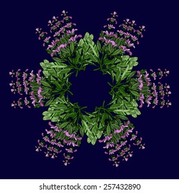 Sage herb ornament, vector illustration