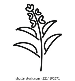 Sage Icon Outline Vector. Leaf Plant. Herb Flower