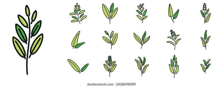 Sage icons set outline vector. Flower leaf. Garden health