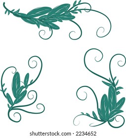 Sage illustrated in a romantic set of design elements.