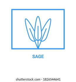 sage, leaf vector line icon