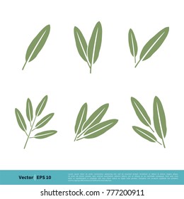 Sage Leaves Icon Vector Logo Template Illustration Design. Vector EPS 10.