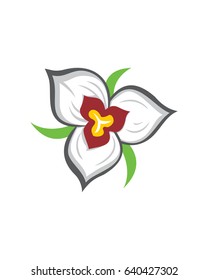 Sage Lily