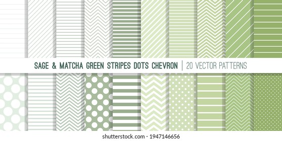 
Sage and Matcha Stripes, Polka Dots and Chevron Seamless Vector Patterns in Calming Neutral Palette of Natural Leafy Green Colors. 20 Pattern Tile Swatches Included.