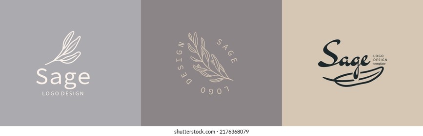 Sage plant badges and logo. minimalist branding labels for tag with isolated common sage  leaves. Vintage hand drawn natural sign for tag product in simple rustic design.  