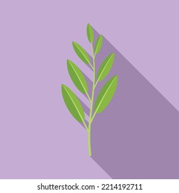 Vector plano del icono de la planta de salvia. Hojas de hierba. Tea salvia