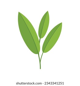 Vector plano del icono de la planta de salvia. Hojas de hierba. Mancha aislada