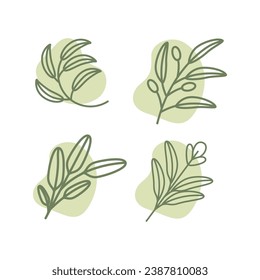 sage planta hojas estilo línea simple conjunto femenino mínimo diseño logo vectorial ilustración icono