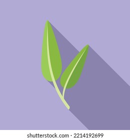 Sage Rosmarin Symbol flache Vektorgrafik. Bleipflanze. Kräuterblume