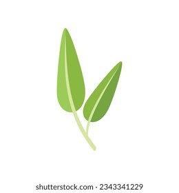 Sage Rosmarin Symbol flache Vektorgrafik. Bleipflanze. Kräuterblume einzeln