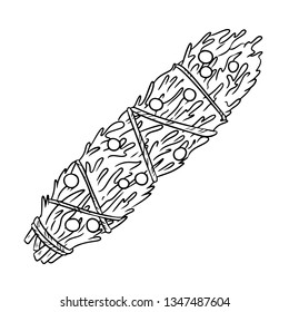 Sage smudge stick hand-drawn doodle isolated illustration. Juniper herb bundle