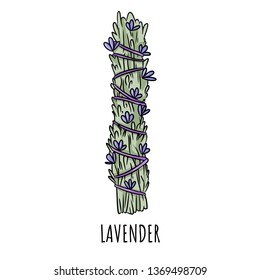 Sage smudge stick hand-drawn doodle isolated illustration. Lavender herb bundle