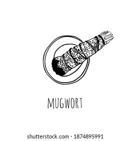 Sage smudge stick hand-drawn doodle isolated illustration. Mugwort herb bundle