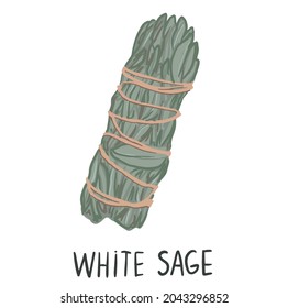 Sage smudge stick hand-drawn doodle isolated illustration. White sage herb bundle