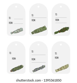 Sage smudge sticks hand-drawn set of gift tags. Herb bundles collection