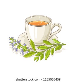 sage tea illustration