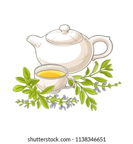 sage tea vector illustration