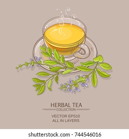 sage tea vector illustration on color background