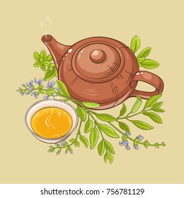 sage tea vector illustration on color background